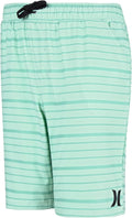 Hurley Boys H20-dri Pull on Shorts