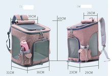 Load image into Gallery viewer, Transparent Cat Backpack Carrier for Cats &amp; Small Dogs – Ventilated, Padded Pet Travel Backpack