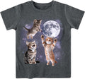 Lovekider Boys Graphic T-Shirt, Cotton Short Sleeve Shirt for Kid Ages 3-8