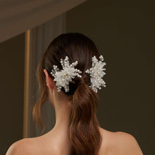 Load image into Gallery viewer, Two piece  Hair Comb Set