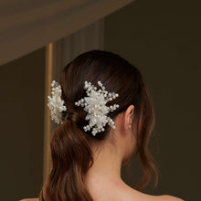 Load image into Gallery viewer, Two piece  Hair Comb Set