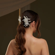 Load image into Gallery viewer, Two piece  Hair Comb Set