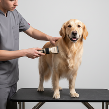 Load image into Gallery viewer, Professional Pet Grooming Kit