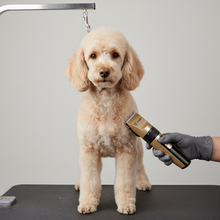 Load image into Gallery viewer, Professional Pet Grooming Kit