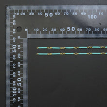 Load image into Gallery viewer, Hand Made Enamel Thin Long Link Necklace/ Chain, LX511