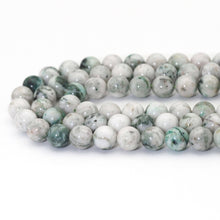 Load image into Gallery viewer, Genuine High Quality Tree Agate Round Smooth Beads, 6mm/8mm/10mm, Sku#U1627