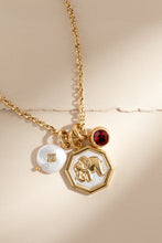 Load image into Gallery viewer, January Birthstone Interchangeable Charm