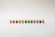 Load image into Gallery viewer, January Birthstone Interchangeable Charm