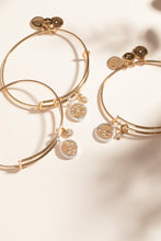 Load image into Gallery viewer, Capricorn Zodiac Charm Bangle