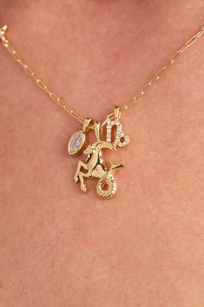 Capricorn Zodiac Charm Cluster Necklace