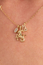 Load image into Gallery viewer, Capricorn Zodiac Charm Cluster Necklace