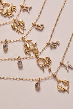 Load image into Gallery viewer, Pisces Zodiac Charm Cluster Necklace