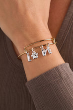 Load image into Gallery viewer, Pet Love Multi Charm Bangle