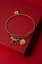 Load image into Gallery viewer, Horse Rope Textured Charm Bangle