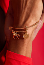 Load image into Gallery viewer, Horse Rope Textured Charm Bangle