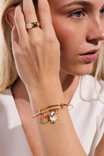 Load image into Gallery viewer, Garden Party Fidget Ring