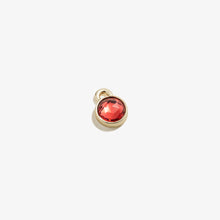 Load image into Gallery viewer, Rose Hoop Earring Charm, Circle