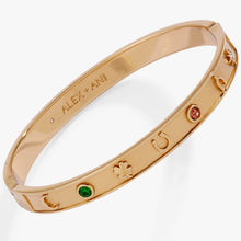 Load image into Gallery viewer, Lucky Hinge Bangle
