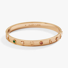 Load image into Gallery viewer, Lucky Hinge Bangle