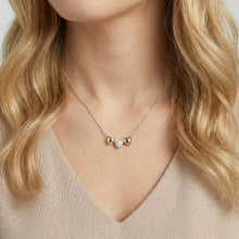 Load image into Gallery viewer, Crystal Heart Slider Necklace