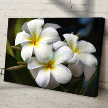 Load image into Gallery viewer, White Frangipani Flower Canvas Wall Art