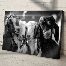 Load image into Gallery viewer, Black And White Baby Goats Canvas Wall Art