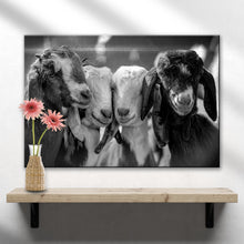 Load image into Gallery viewer, Black And White Baby Goats Canvas Wall Art