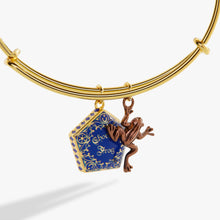 Load image into Gallery viewer, Harry Potter™ Chocolate Frog Two-Charm Bangle
