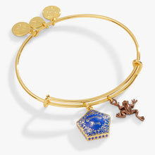 Load image into Gallery viewer, Harry Potter™ Chocolate Frog Two-Charm Bangle
