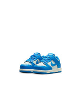 Load image into Gallery viewer, Nike (TD) Dunk Low - Light Silver/Photo Blue