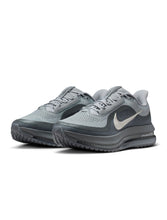 Load image into Gallery viewer, Nike Mens Pegasus Premium - Wolf Grey