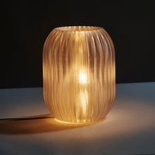 Load image into Gallery viewer, Allium Lamp