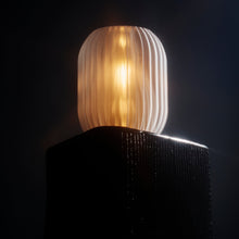 Load image into Gallery viewer, Allium Lamp
