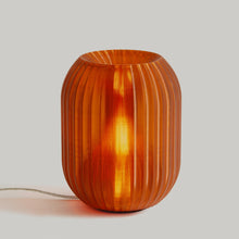Load image into Gallery viewer, Allium Lamp