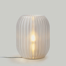 Load image into Gallery viewer, Allium Lamp