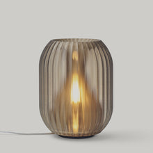 Load image into Gallery viewer, Allium Lamp