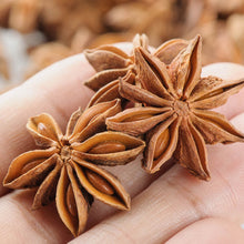 Load image into Gallery viewer, Star Anise Elixir
