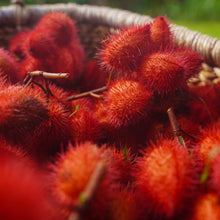 Load image into Gallery viewer, Annatto Salve