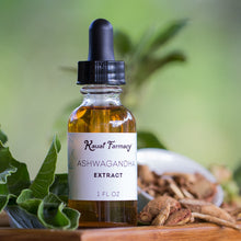 Load image into Gallery viewer, Ashwagandha Tincture