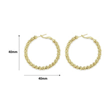 Load image into Gallery viewer, Large Shimmered Hoop Earrings, Sku#B199