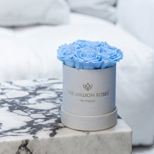 Load image into Gallery viewer, Essence Beige Suede Box | Light Blue Roses
