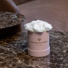 Load image into Gallery viewer, Essence Light Pink Suede Box | White Roses