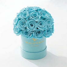 Load image into Gallery viewer, Essence Mint Green Suede Superdome Box | Turquoise Roses