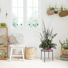 Load image into Gallery viewer, Set of 4 - Indoor Outdoor Black Metal Plant Stand