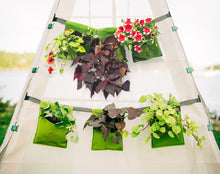 Load image into Gallery viewer, Bijou Bloom Hanging Planters