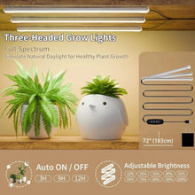 Load image into Gallery viewer, Indoor Plant Stand with Black Metal Frame and Wood Finish Shelves