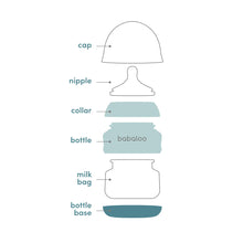 Load image into Gallery viewer, babaloo bottle set of 3