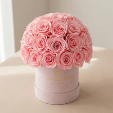 Load image into Gallery viewer, Essence Light Pink Suede Superdome Box | Light Pink Roses