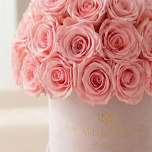 Load image into Gallery viewer, Essence Light Pink Suede Superdome Box | Light Pink Roses