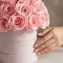 Load image into Gallery viewer, Essence Light Pink Suede Superdome Box | Light Pink Roses